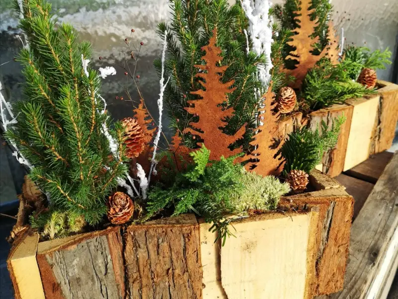 Compositions de sapins en bacs bois et décor de forêt