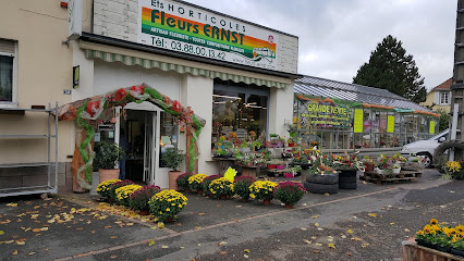 Magasin Fleurs Ernst au centre-ville de Sarre-Union