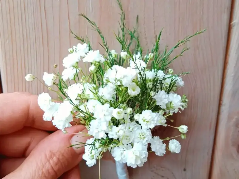 Boutonnière de gypsophile