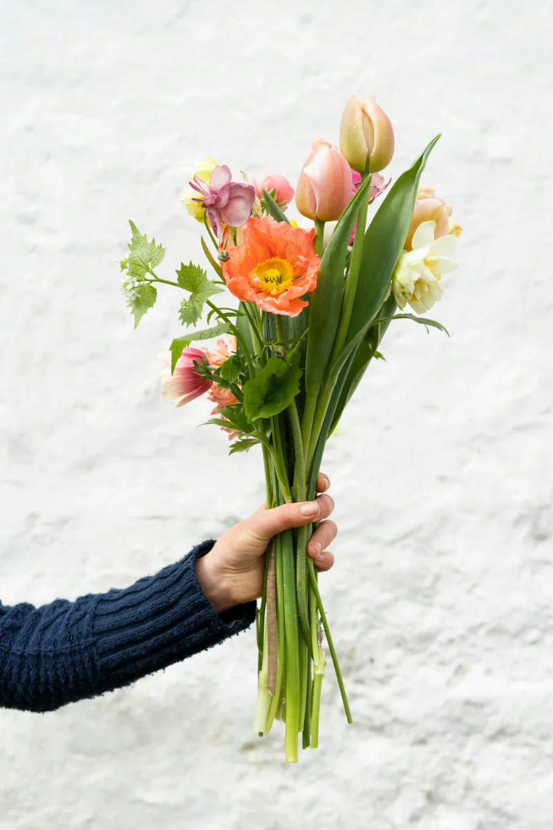 Main tendant un bouquet de fleurs coupées de saison — tulipes, pavot et renoncules